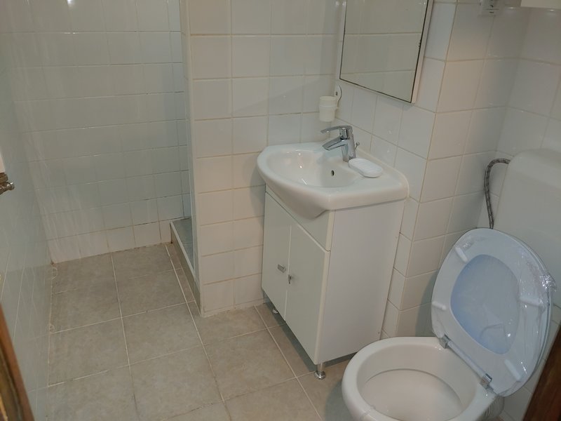 Piata Domenii- Spitalul Elias