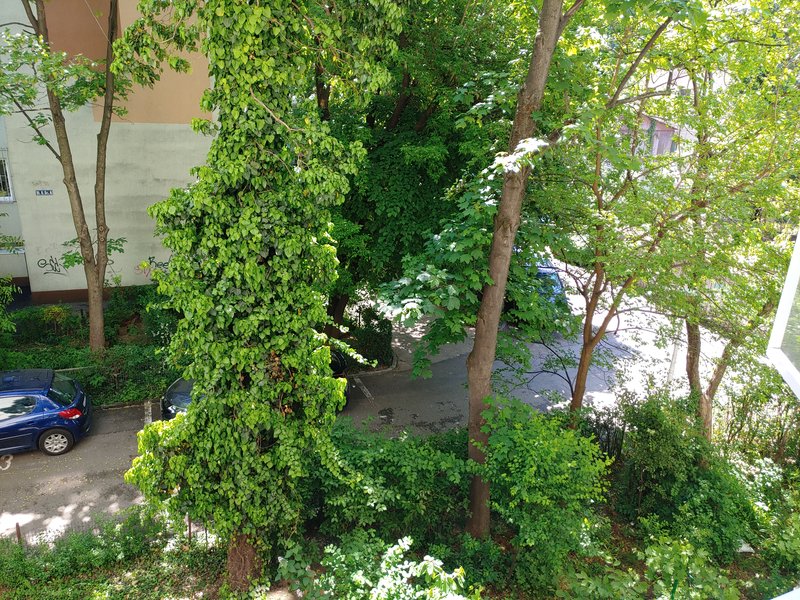 Piata Domenii- Spitalul Elias